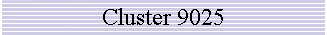 Cluster 9025