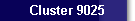 Cluster 9025